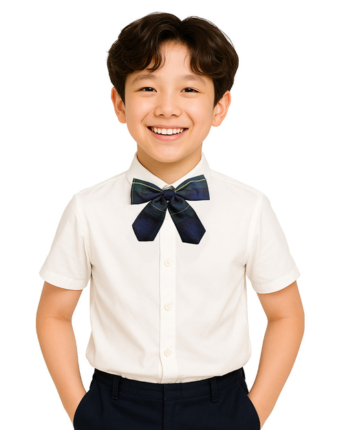領結 蝴蝶結 鬆緊帶繩釦  訂製款<span>BOWTIE-A01</span>